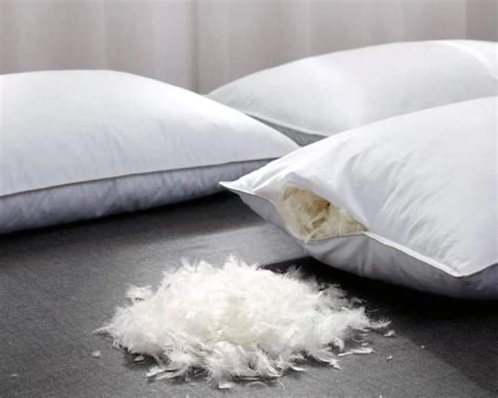 Are old feather pillows unhealthy?