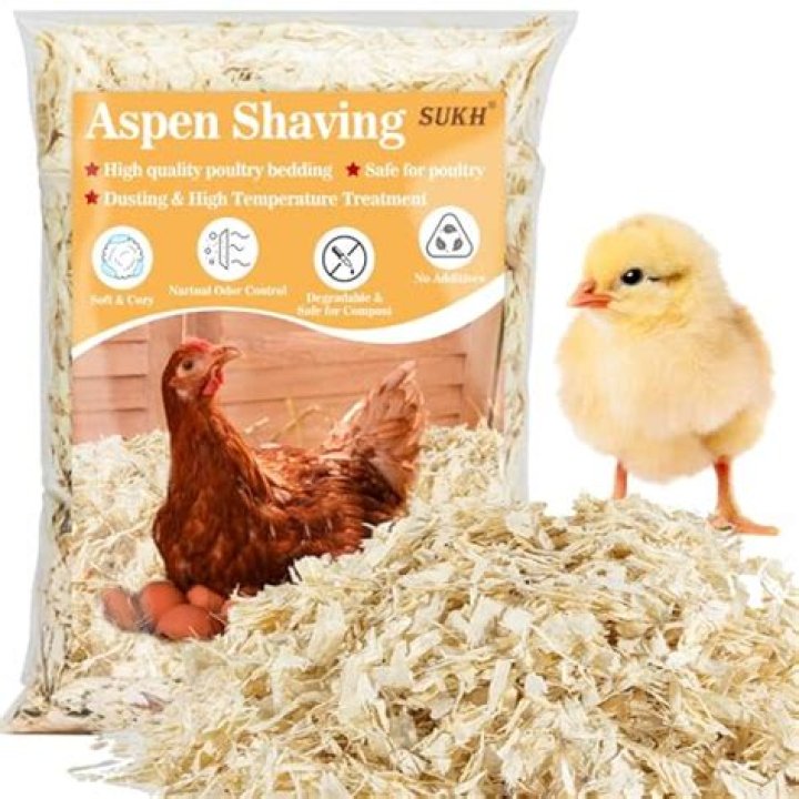 Are pine shavings OK for chickens?