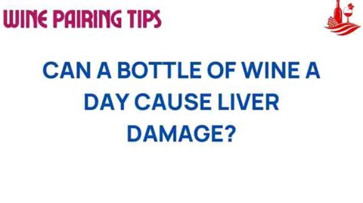 Can a bottle of wine a day cause liver damage?
