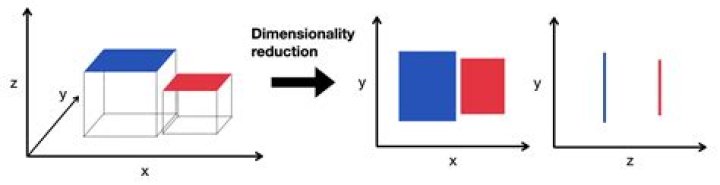 Can autoencoders be used for dimensionality reduction?