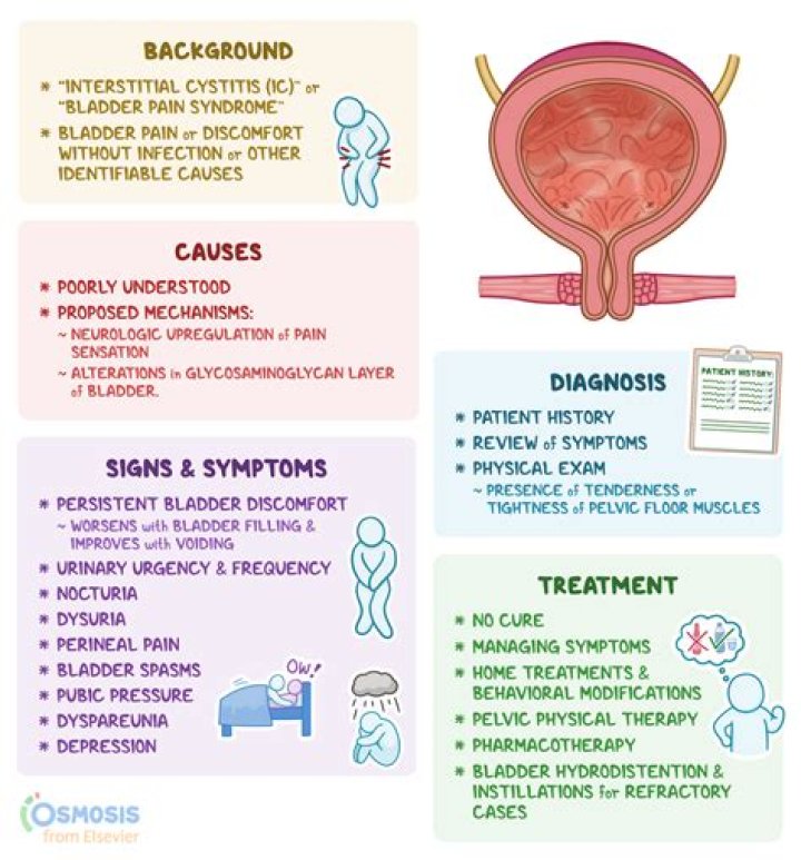 Can autoimmune disease cause bladder problems?