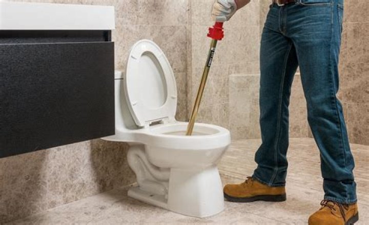 Can Coke unclog a toilet?