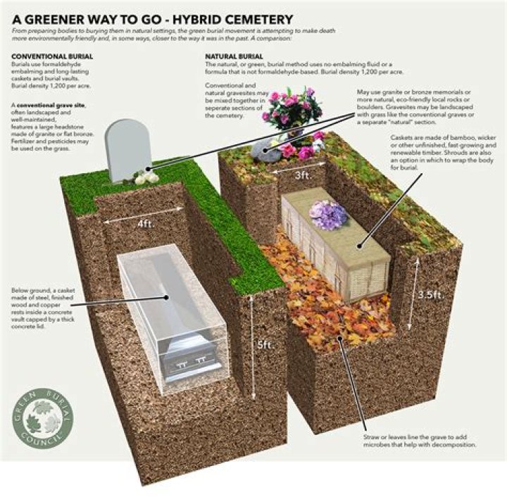 Can dogs smell you in a grave?
