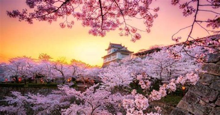 Can I buy a car in Japan and ship it to USA?