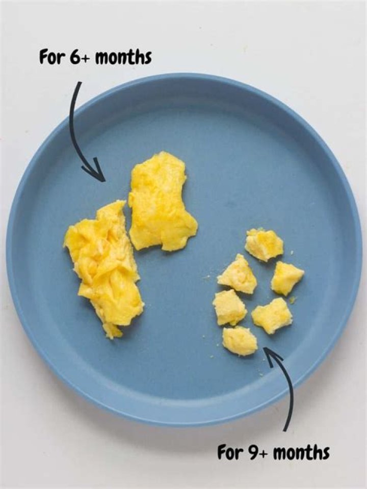 Can I give my 7 month old scrambled eggs?