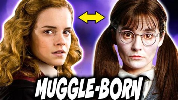 Can Muggles get to Hogwarts?