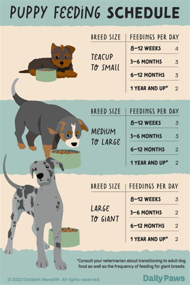 Can my new puppy give my other dog worms?