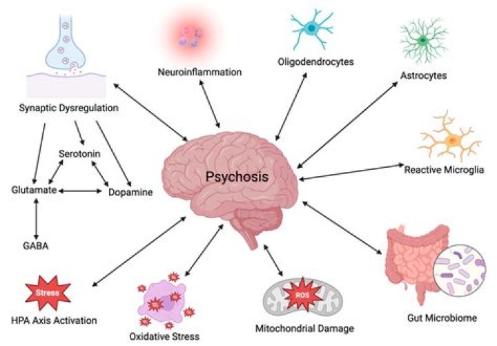Can neurosis lead to psychosis?