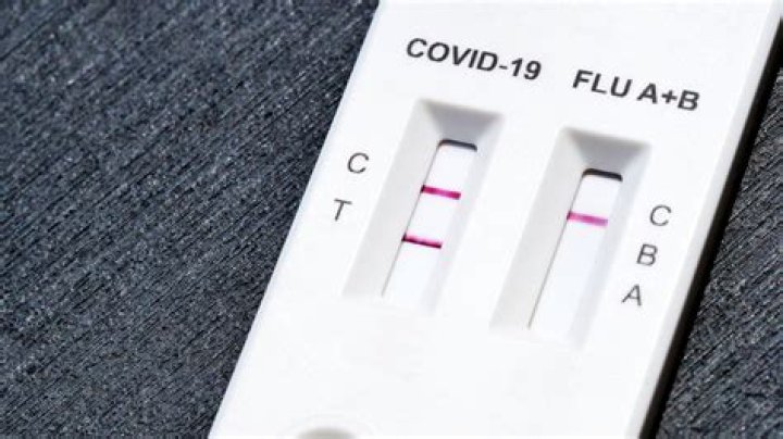 Can the COVID-19 antibody test give false negatives?