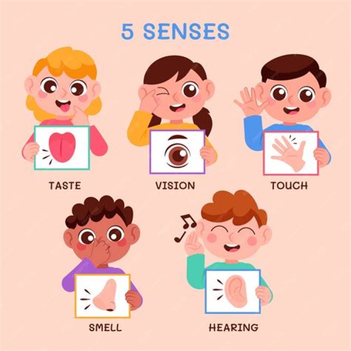Can you learn a sense of rhythm?