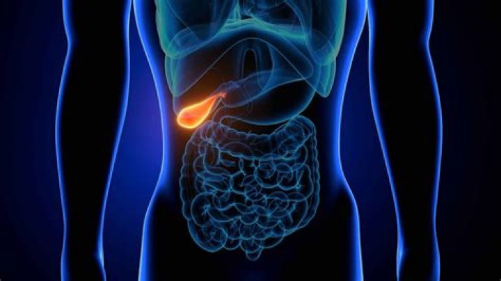 Can you live without the appendix?