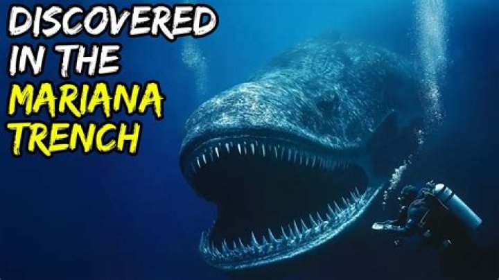 Could the Megalodon live in the Mariana Trench?
