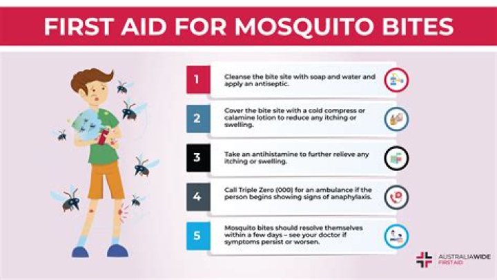 Do mosquitoes bite elephants?