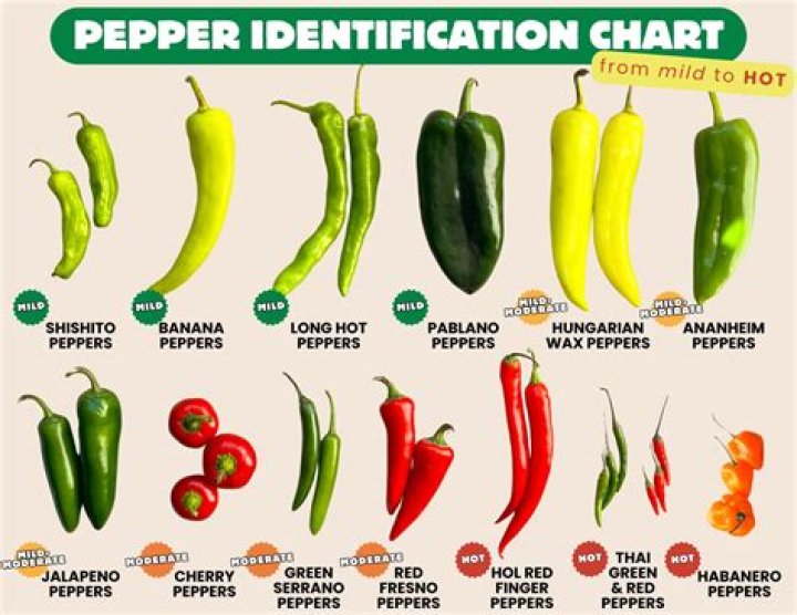 Do peppers make you poop?