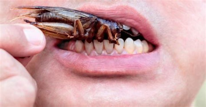 Do roaches eat toenails?