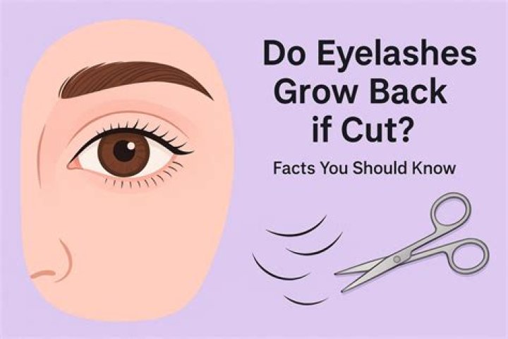 Do taste buds grow back if you cut them off?