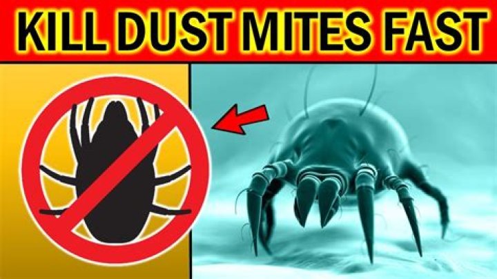 Does baking soda get rid of dust mites?