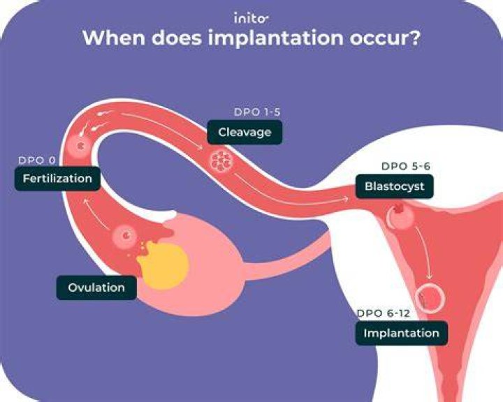 Does implantation occur on left or right?