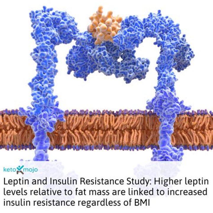 Does Keto increase leptin?