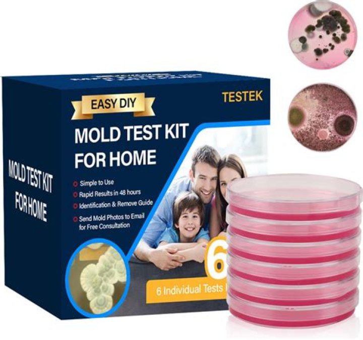How do I know if I have mold in my bathroom?