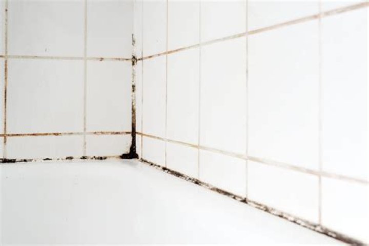 How do I prevent black mold in my bathroom?