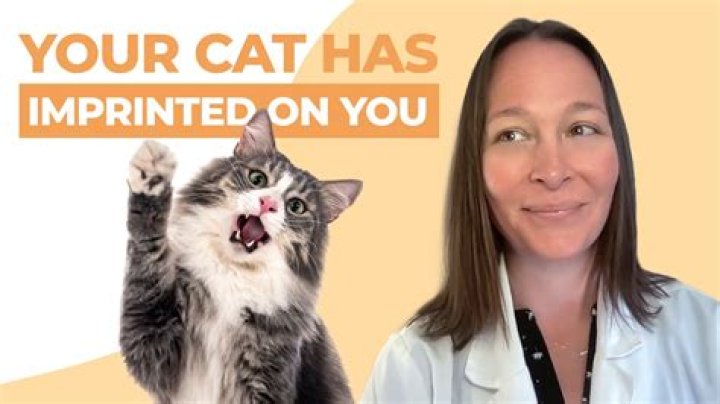 How do you know if your cat has imprinted on you?