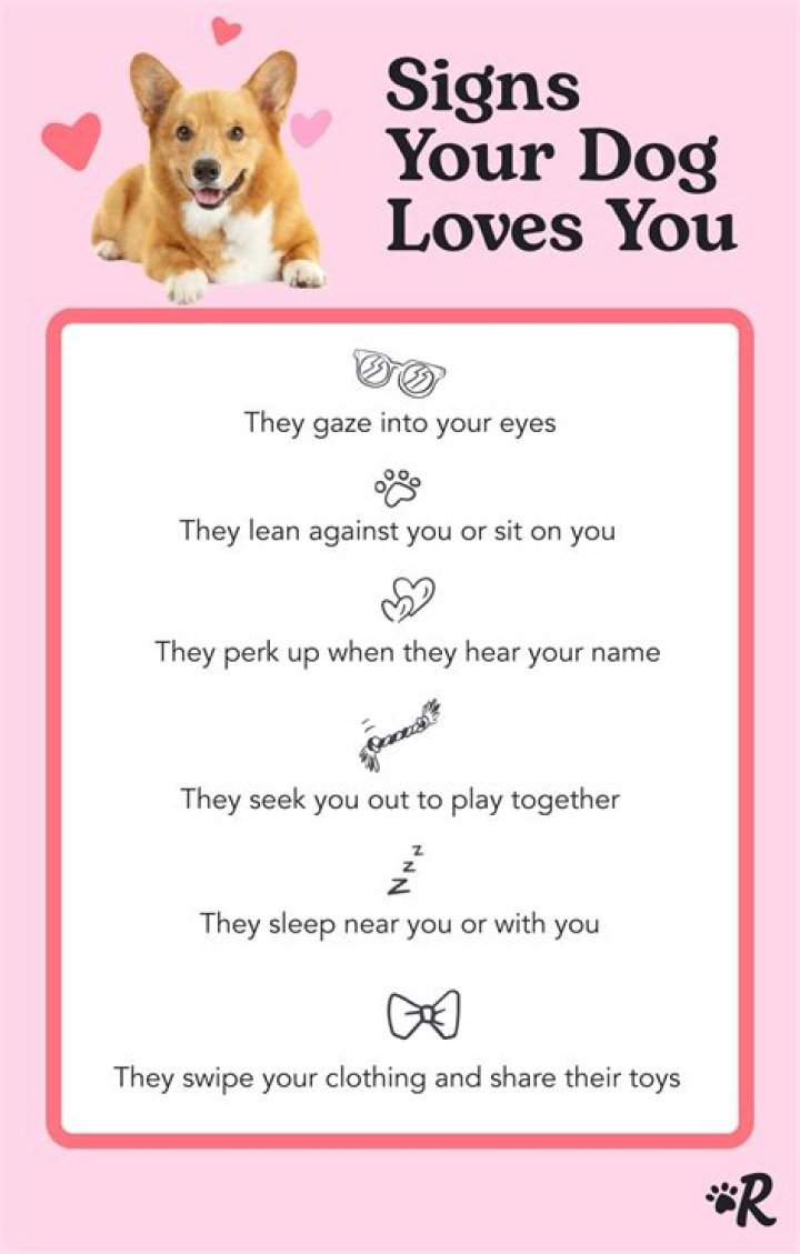 How do you know your puppy loves you?