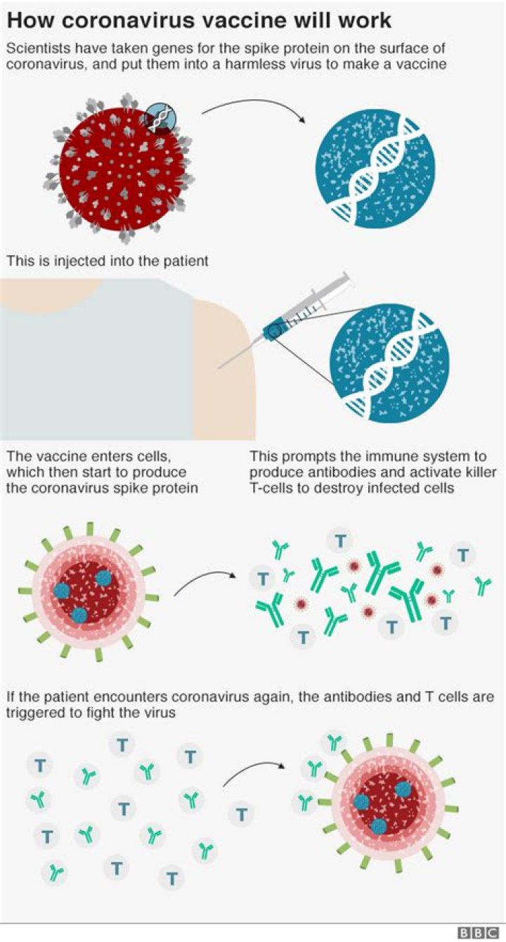 How does the COVID-19 vaccine work?