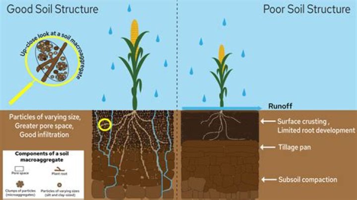 How does water affect soil compaction?