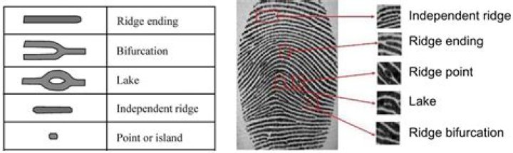 How long are fingerprints good for in PA?