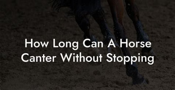 How long can a horse canter without stopping?