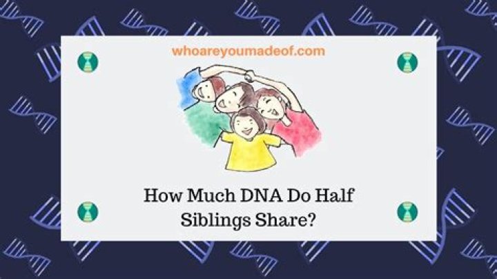 How much DNA do you share with a half sibling?