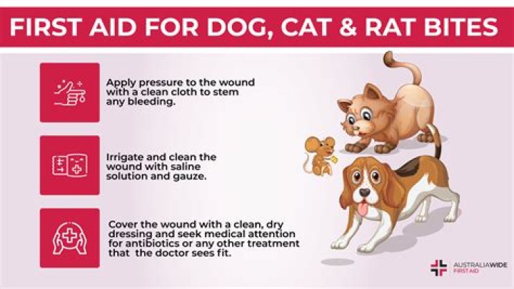 How much does it cost if your dog gets bit by a rattlesnake?