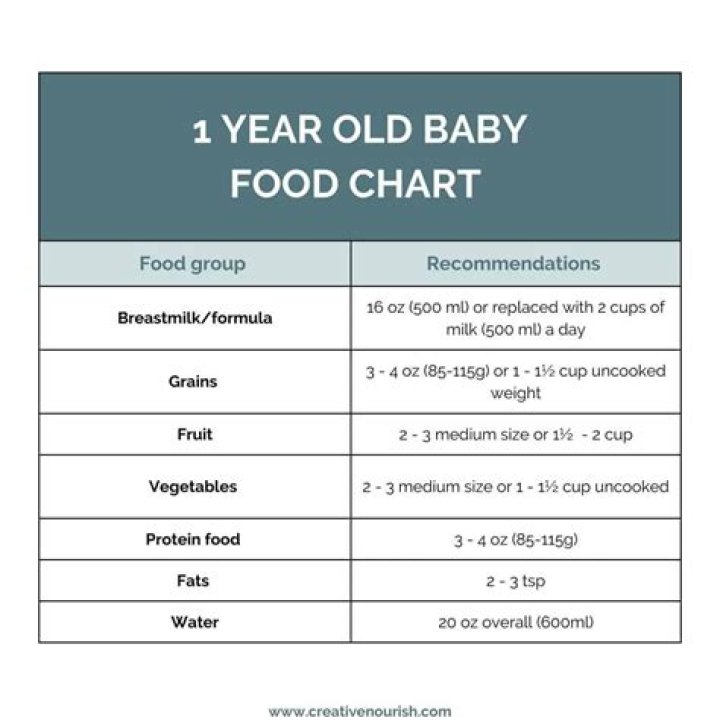 How much TV should a 1 year old have?