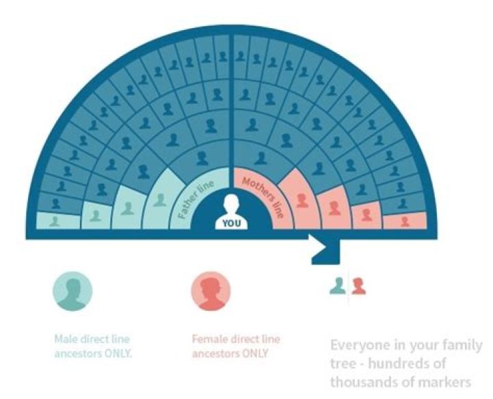 Is AncestryDNA the most accurate?