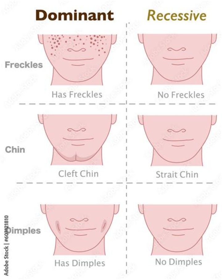 Is freckles dominant or recessive?