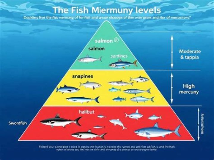 Is salmon high in mercury?