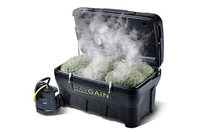 Is steaming hay better than soaking?
