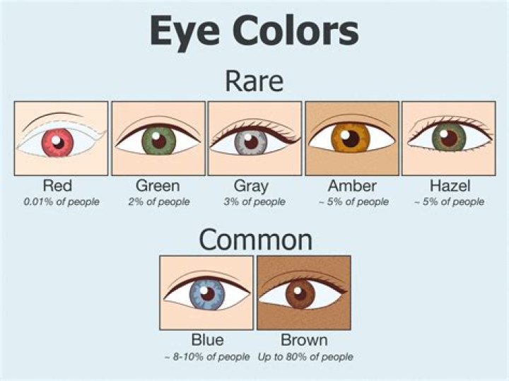 What's the rarest hair eye color combo?