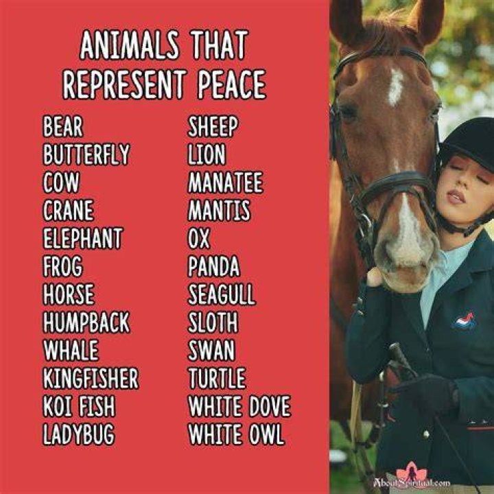 What animal represents Ketu?