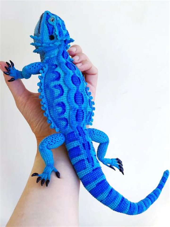 What are blue bars on a bearded dragon?