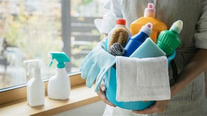 What are some advantages to having an organized cleaning program?