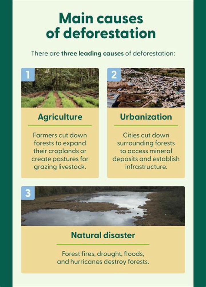 What are the 3 causes of oil consumption?