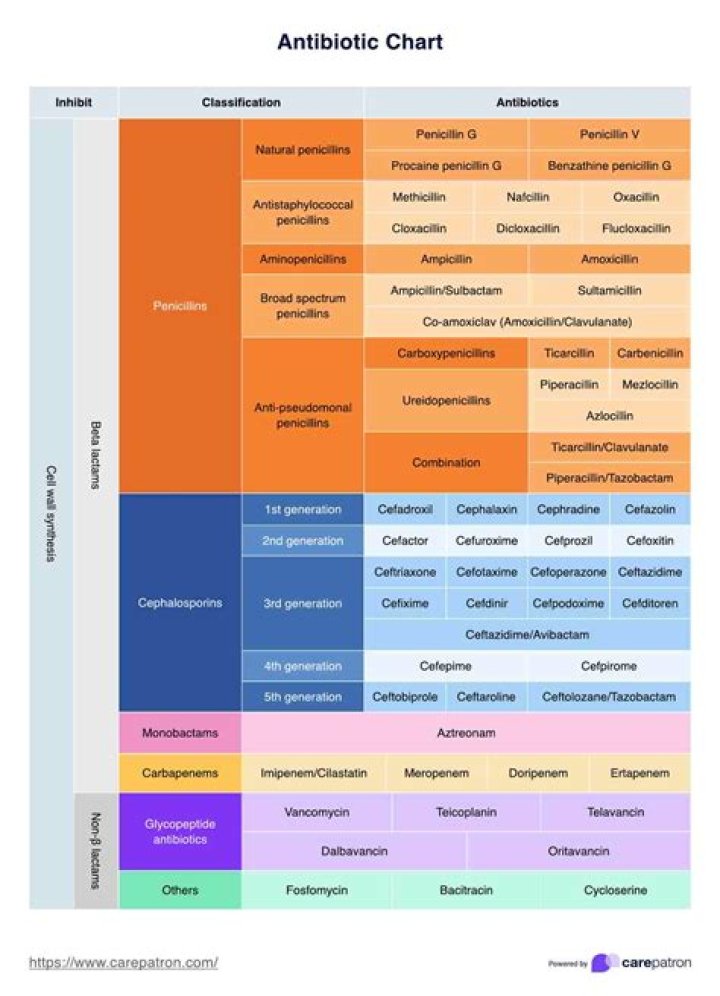 What are the 3 most common antibiotics?