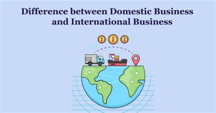 What are the similarities between domestic and international business?