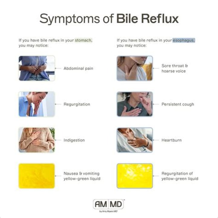 What are the symptoms of bile reflux?