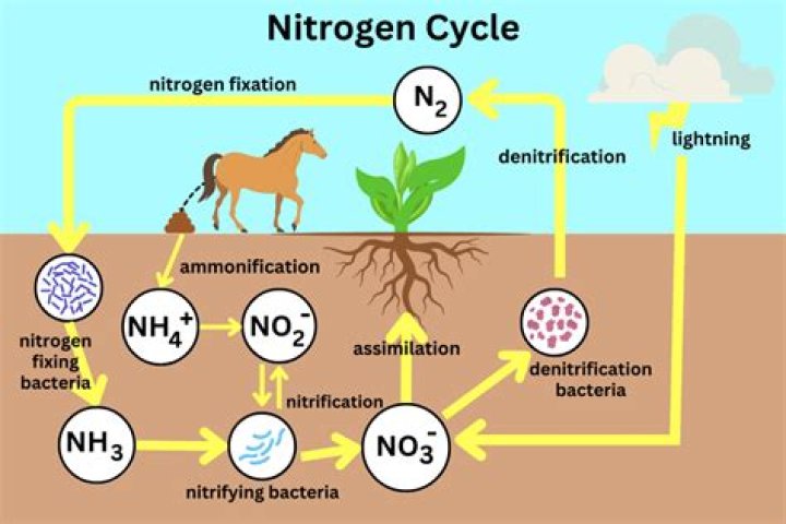 What causes nitrogen to explode?