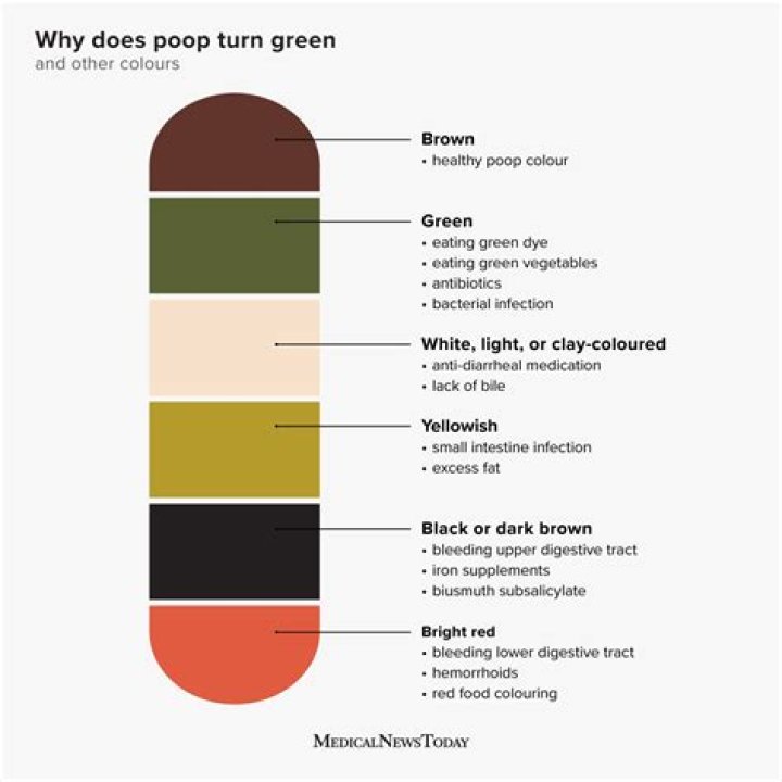 What color should your poop be?