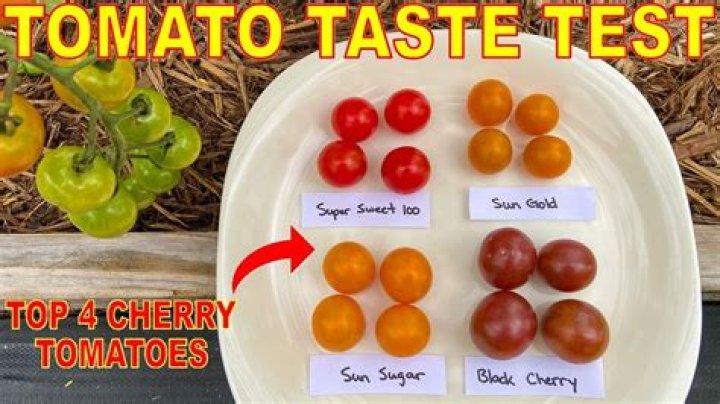 What color tomato is the sweetest?
