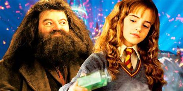 What did Harry and Hermione do after going three hours back in time?
